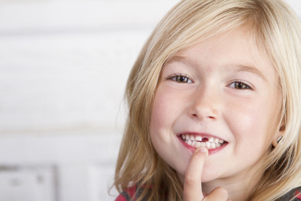Cost of Banking Stem Cells from Teeth OOTHY™